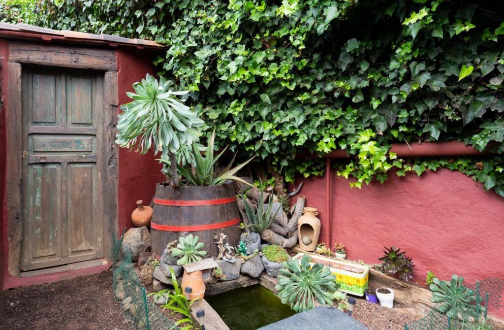 ラ・オロタバCasa Floridaアパートメント エクステリア 写真